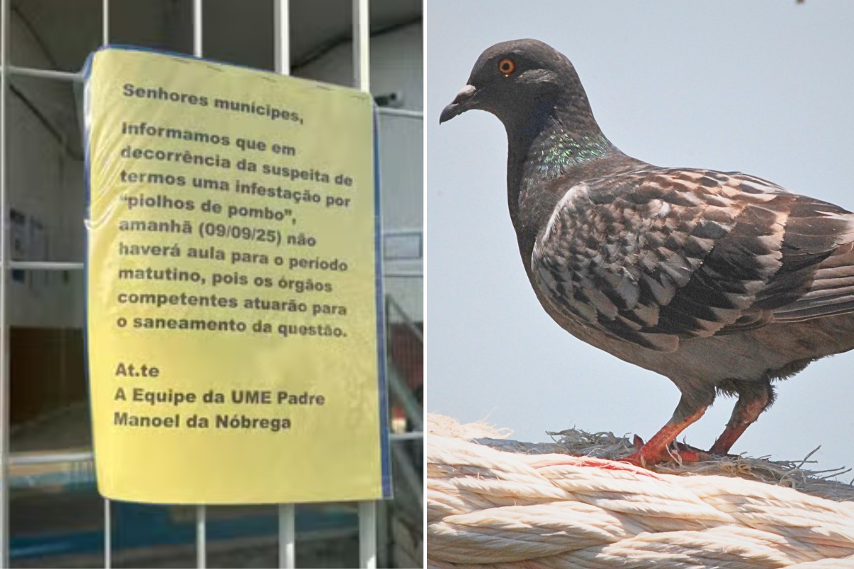foto Notícia Praia Grande